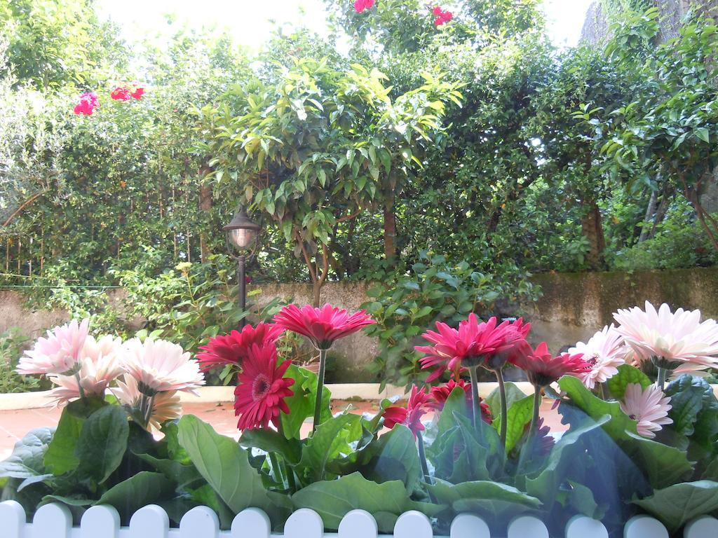Certe Notti - Suites Pompei Ngoại thất bức ảnh